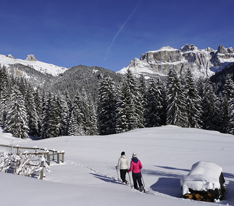 ciaspole e racchette da neve in val di fassa e passeggiate invernali in trentino